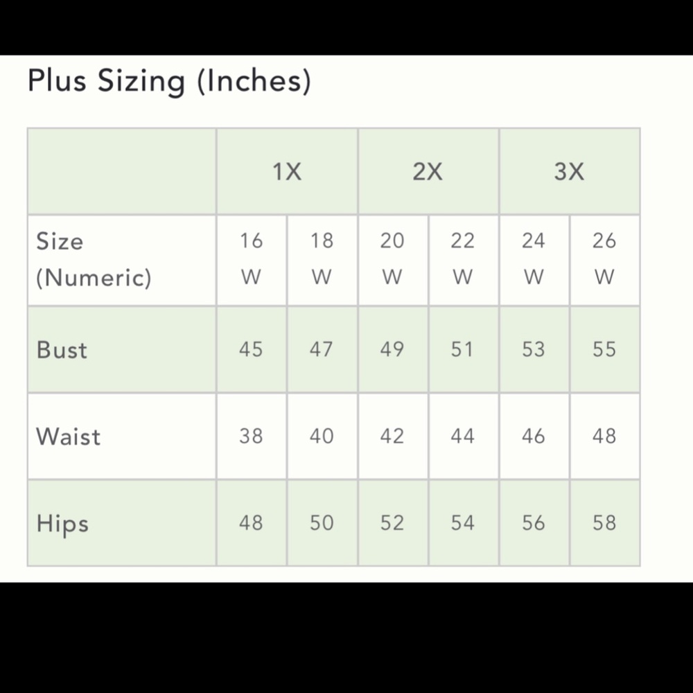 Anthropologie Chandail Selene Pilcro NWT SZ L, 1X, 2X - Picture 12 of 12